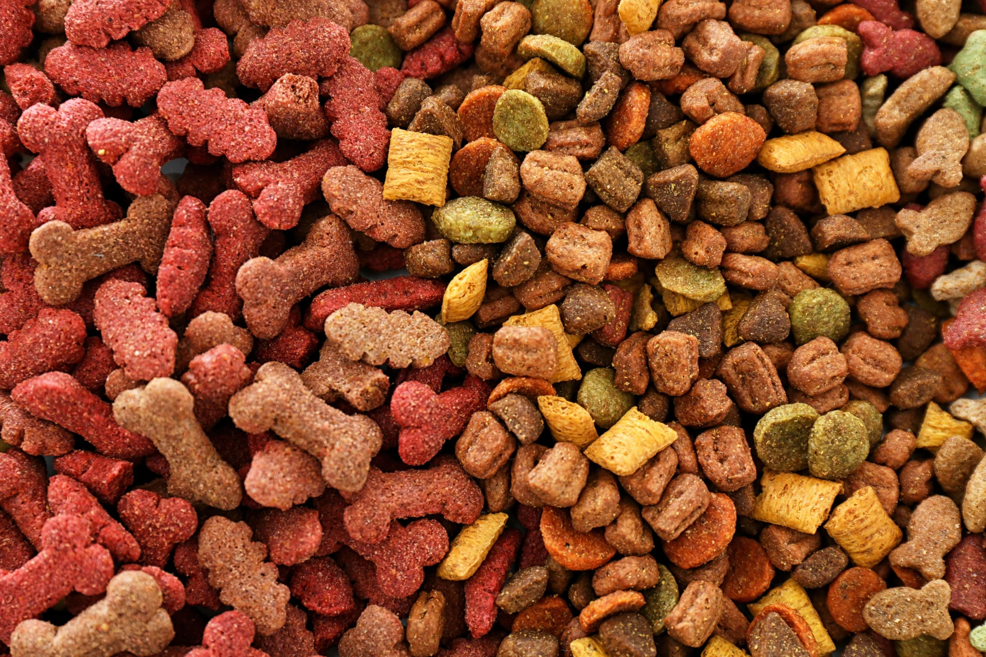 Customer perspective on a turnkey pet food production solution
